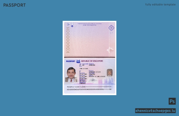 Singapurs neuer Reisepass 2017 – Beispielvorschau